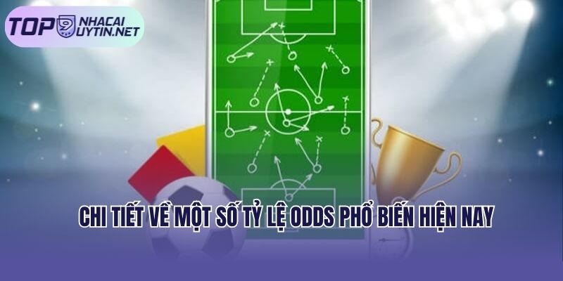 Chi tiết về một số tỷ lệ Odds phổ biến hiện nay