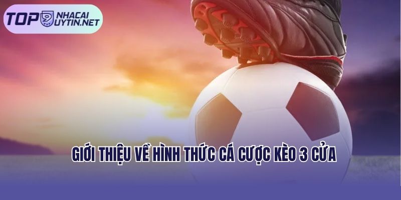 Giới thiệu về hình thức cá cược kèo 3 cửa