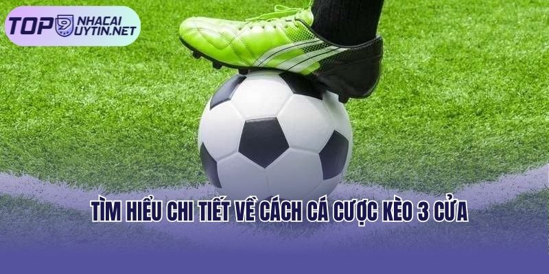Tìm hiểu chi tiết về cách cá cược kèo 3 cửa